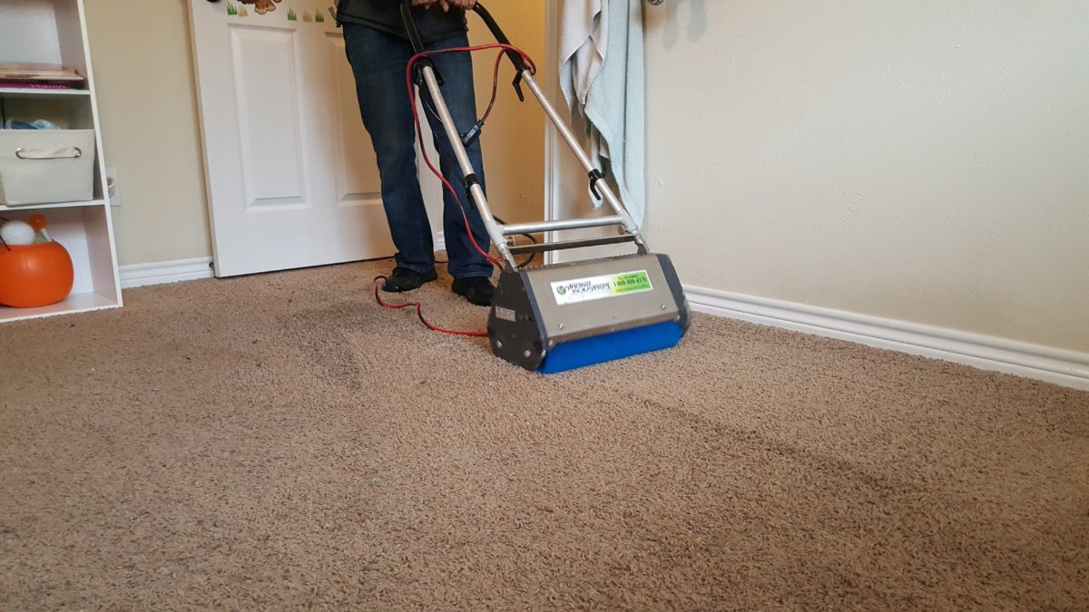 Specifically-carpet-cleaning-addison-tx-scrubbing-carpet